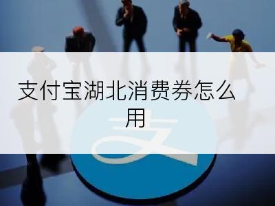 支付宝湖北消费券怎么用