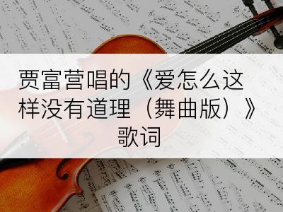 贾富营唱的《爱怎么这样没有道理（舞曲版）》歌词