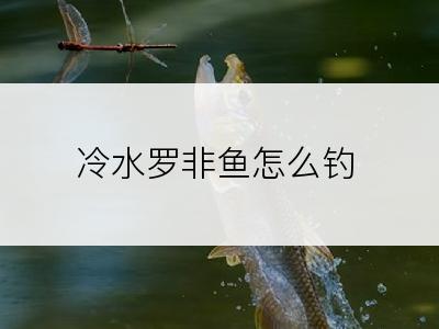 冷水罗非鱼怎么钓