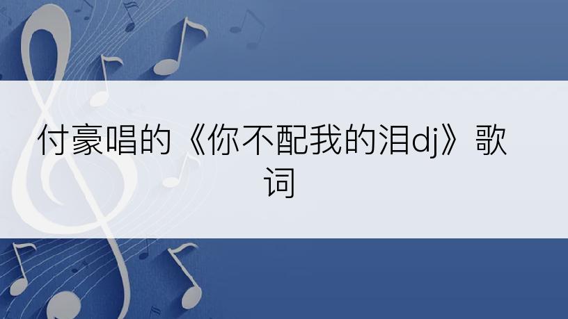 付豪唱的《你不配我的泪dj》歌词