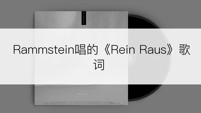 Rammstein唱的《Rein Raus》歌词