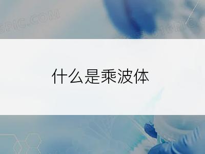 什么是乘波体