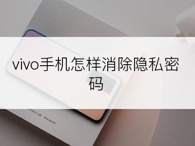 vivo手机怎样消除隐私密码