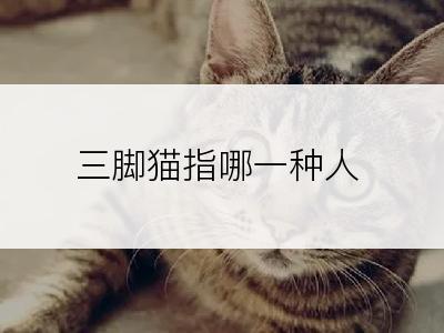 三脚猫指哪一种人