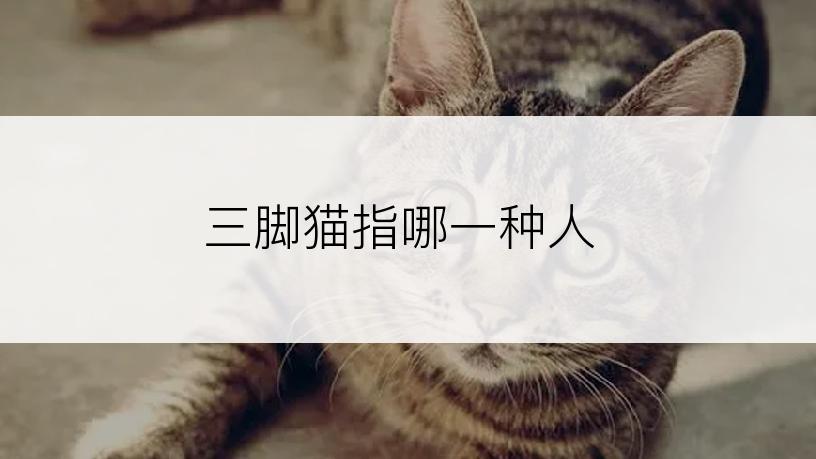 三脚猫指哪一种人