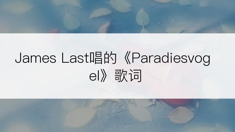 James Last唱的《Paradiesvogel》歌词