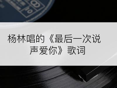 杨林唱的《最后一次说声爱你》歌词