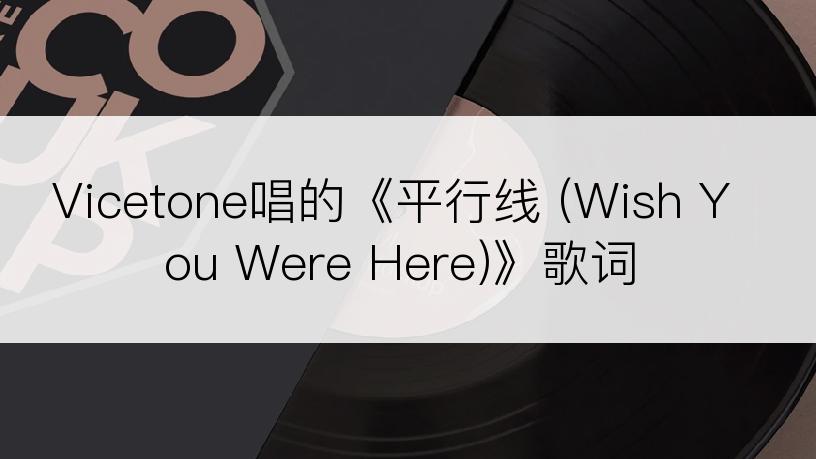 Vicetone唱的《平行线 (Wish You Were Here)》歌词