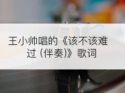 王小帅唱的《该不该难过 (伴奏)》歌词