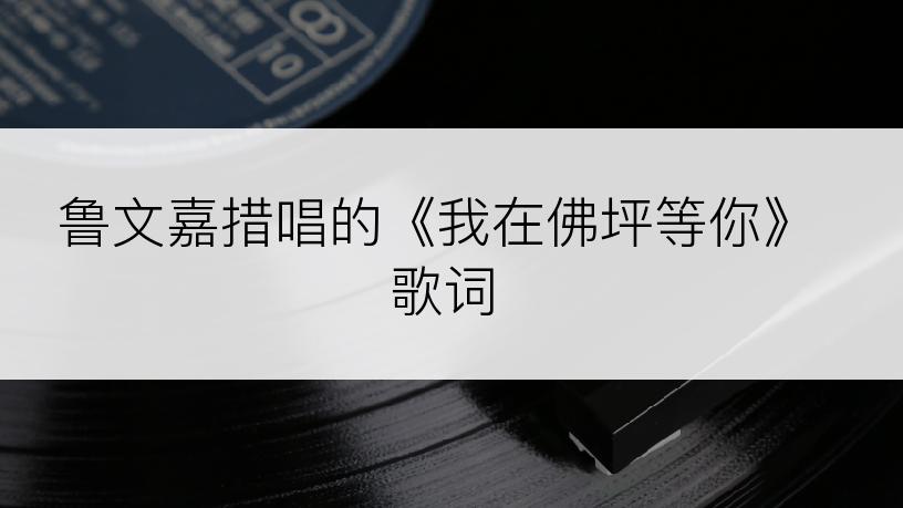 鲁文嘉措唱的《我在佛坪等你》歌词