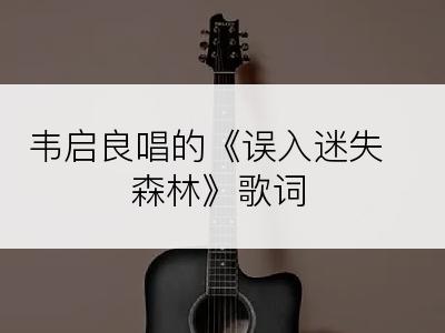 韦启良唱的《误入迷失森林》歌词