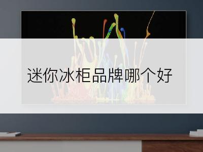 迷你冰柜品牌哪个好