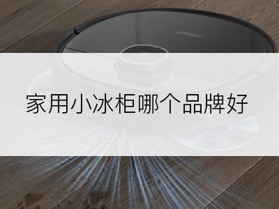 家用小冰柜哪个品牌好