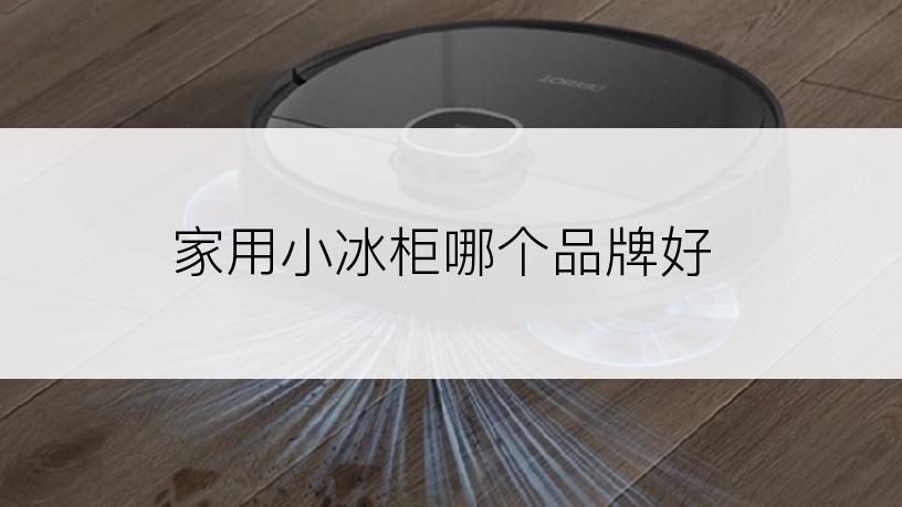 家用小冰柜哪个品牌好