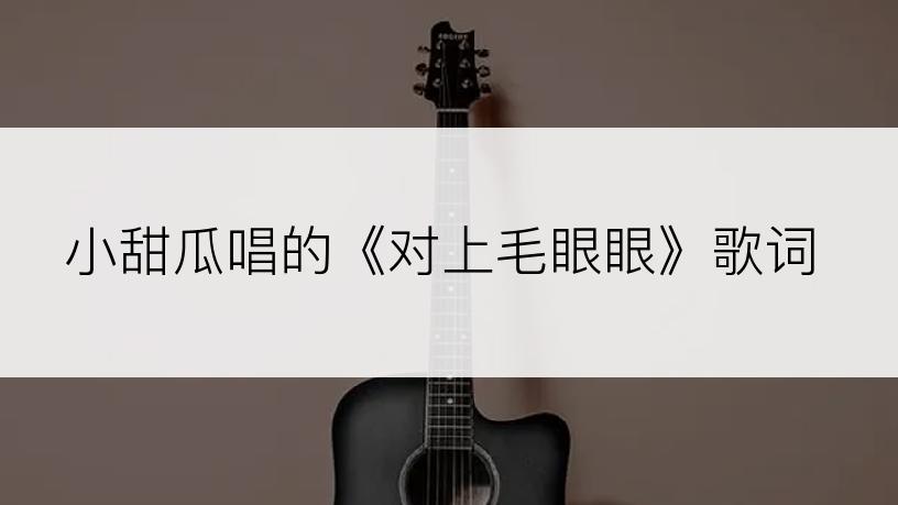 小甜瓜唱的《对上毛眼眼》歌词