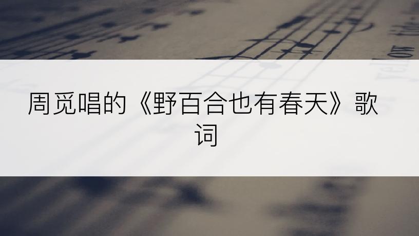 周觅唱的《野百合也有春天》歌词