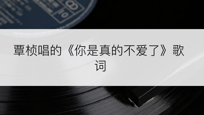 覃桢唱的《你是真的不爱了》歌词