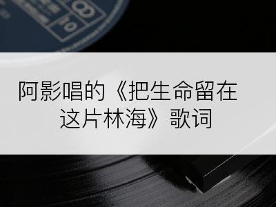 阿影唱的《把生命留在这片林海》歌词