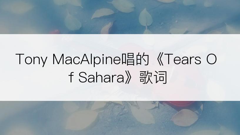 Tony MacAlpine唱的《Tears Of Sahara》歌词