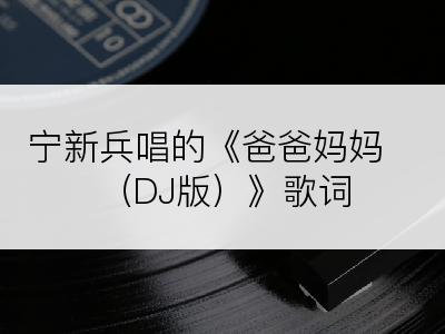 宁新兵唱的《爸爸妈妈 （DJ版）》歌词