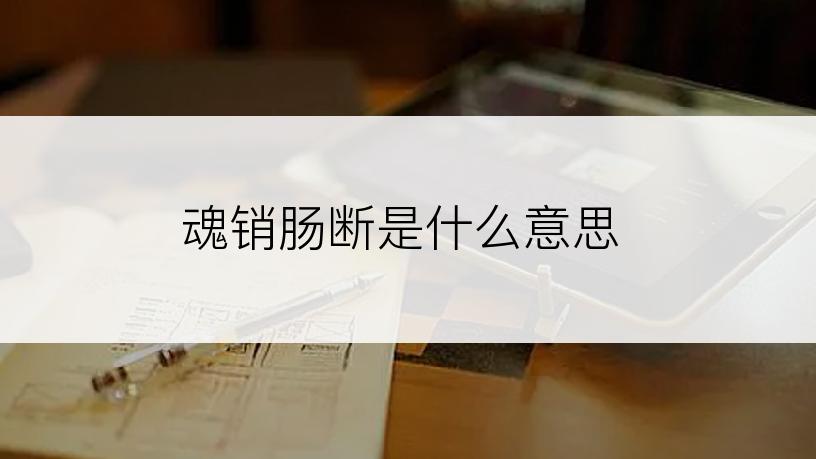 魂销肠断是什么意思