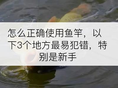 怎么正确使用鱼竿，以下3个地方最易犯错，特别是新手