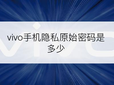 vivo手机隐私原始密码是多少