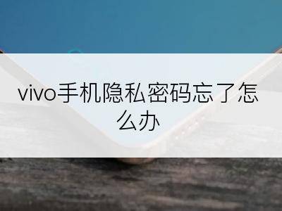 vivo手机隐私密码忘了怎么办