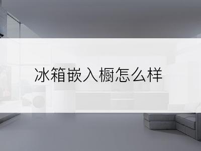 冰箱嵌入橱怎么样