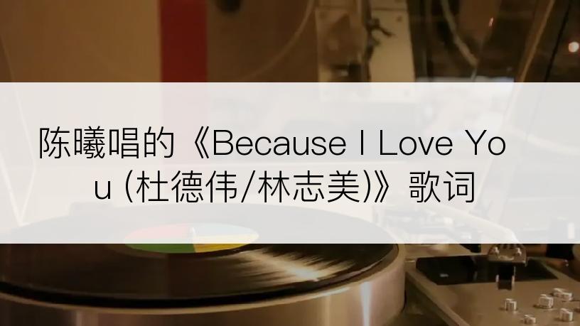 陈曦唱的《Because I Love You (杜德伟/林志美)》歌词