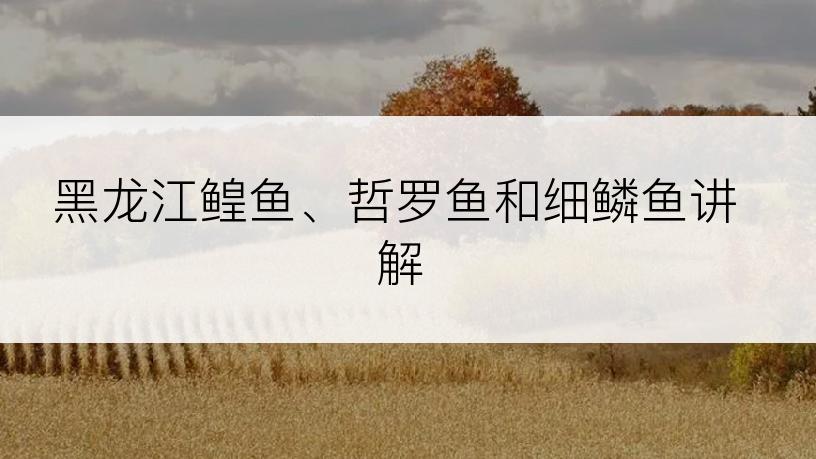 黑龙江鳇鱼、哲罗鱼和细鳞鱼讲解