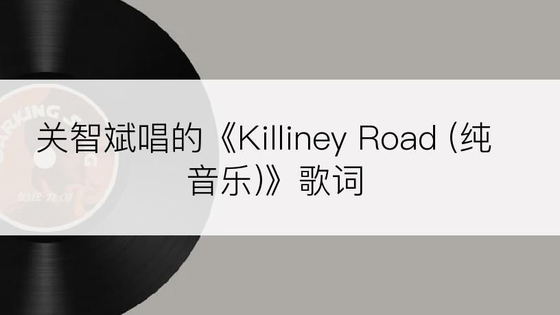 关智斌唱的《Killiney Road (纯音乐)》歌词