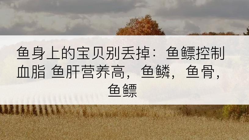 鱼身上的宝贝别丢掉：鱼鳔控制血脂 鱼肝营养高，鱼鳞，鱼骨，鱼鳔