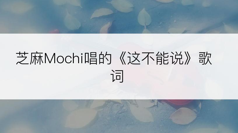 芝麻Mochi唱的《这不能说》歌词