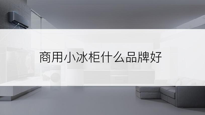 商用小冰柜什么品牌好