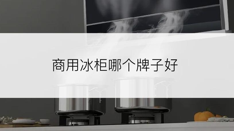 商用冰柜哪个牌子好