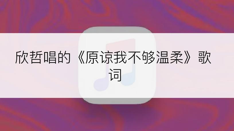 欣哲唱的《原谅我不够温柔》歌词