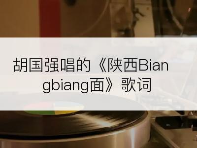 胡国强唱的《陕西Biangbiang面》歌词