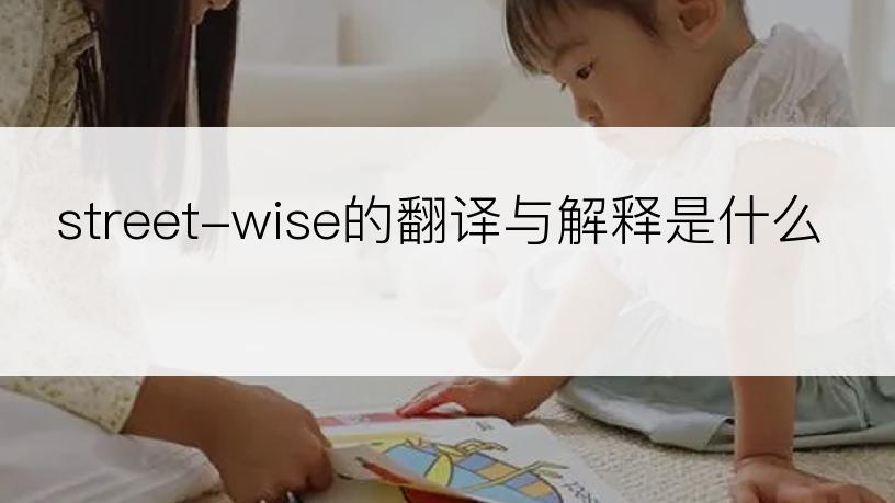 street-wise的翻译与解释是什么