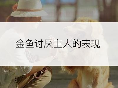 金鱼讨厌主人的表现