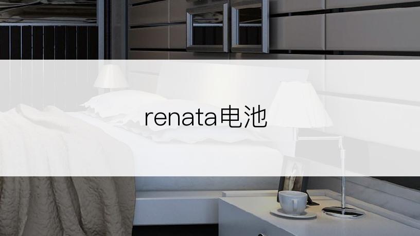 renata电池