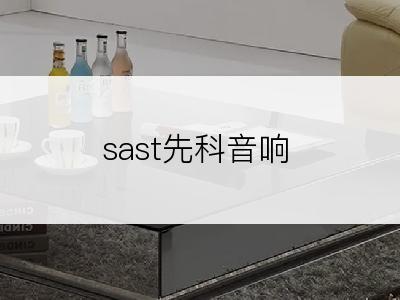 sast先科音响