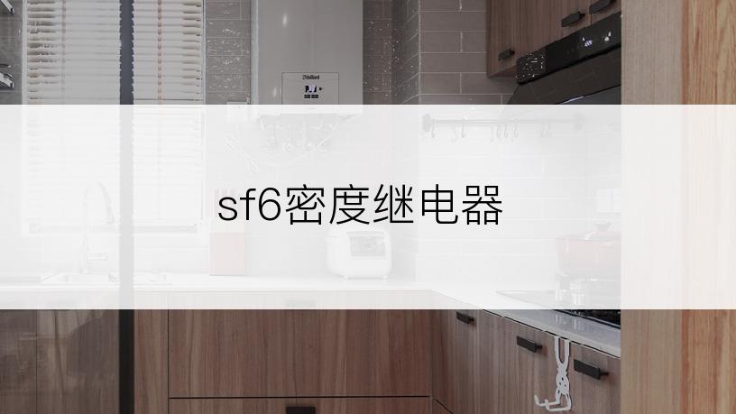 sf6密度继电器