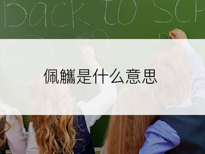 佩觿是什么意思