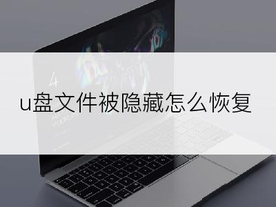 u盘文件被隐藏怎么恢复