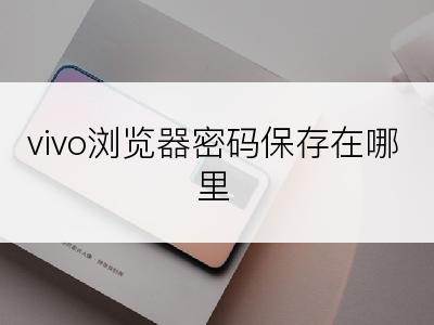 vivo浏览器密码保存在哪里