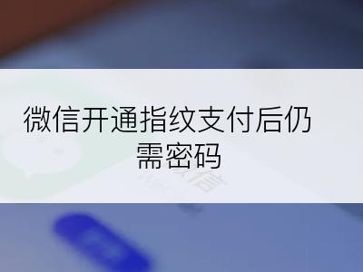 微信开通指纹支付后仍需密码