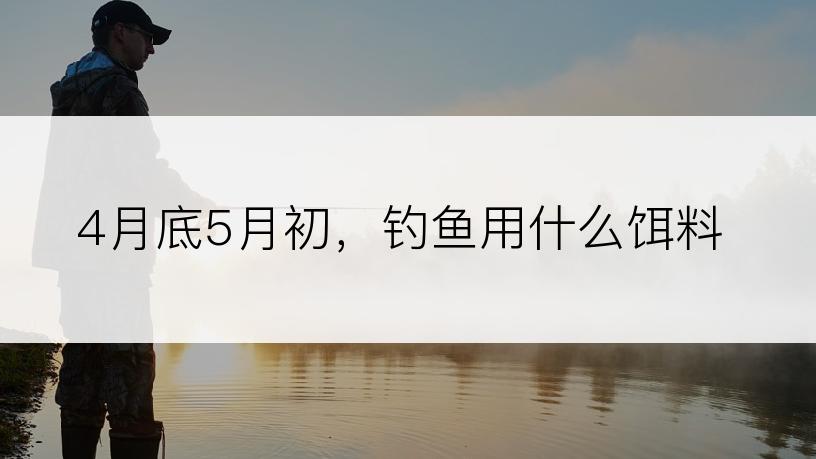 4月底5月初，钓鱼用什么饵料