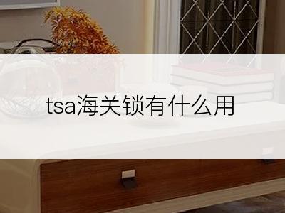 tsa海关锁有什么用