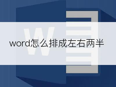 word怎么排成左右两半